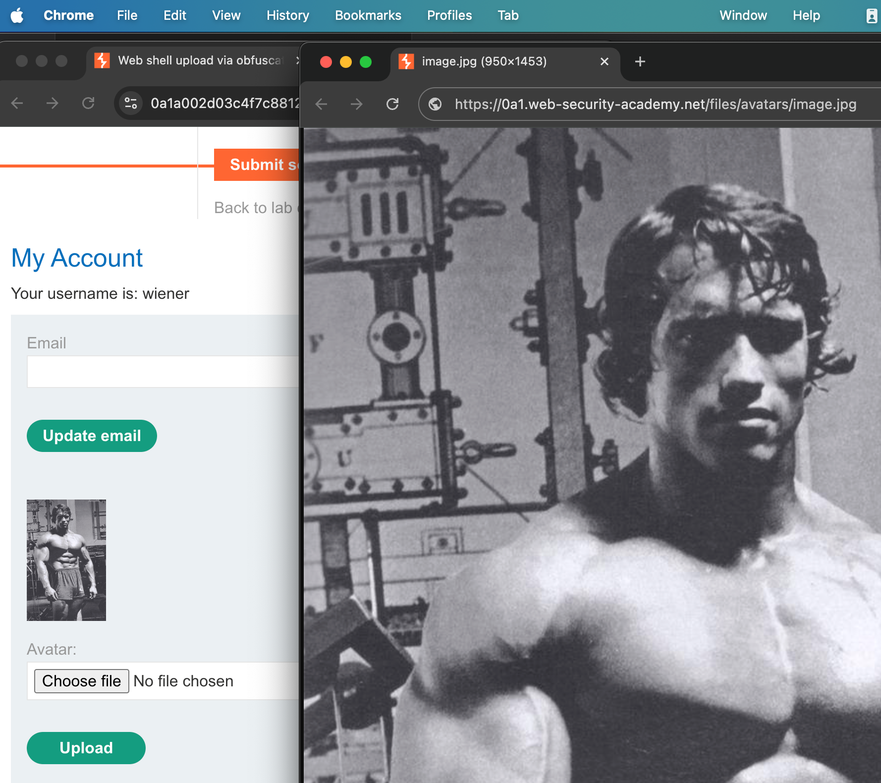 Lab - Web shell upload via obfuscated file extension